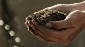 Introduction to Farm and Land Resource Management