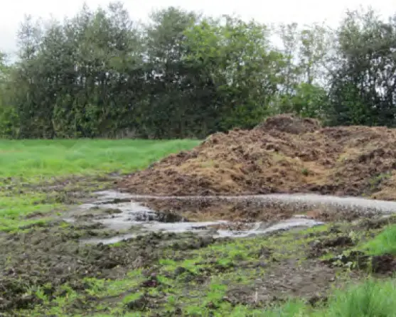 Image of manure leeching