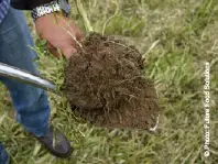 Checking soil health