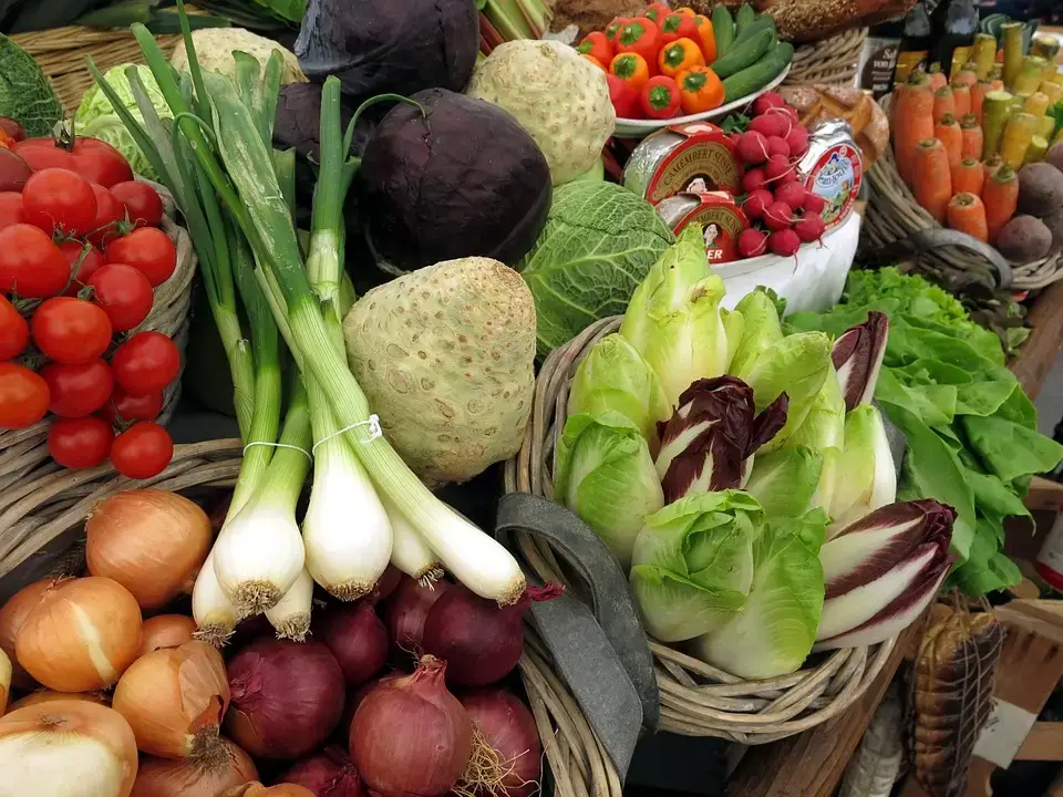 Regenerative farming vegetables