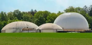 Image of a biomass production facility in an agricultural environment