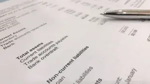 Image of a typical balance sheet to illustrate a finance feature in decarbonisation.